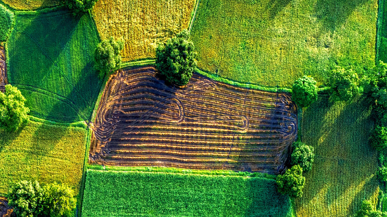 Climate Finance for Adaptation in Southeast Asia to COP26